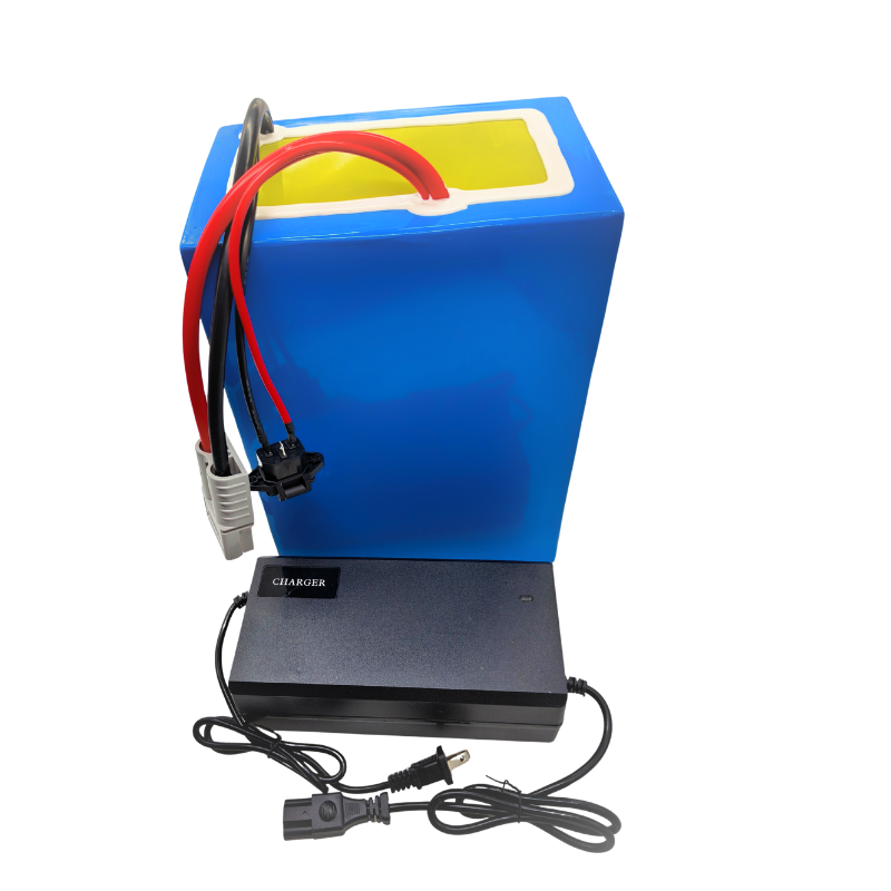 72 В 100 Ач литий-ионный с зар – обзор и цена 72V 40Ah Lifepo4 Battery Pack